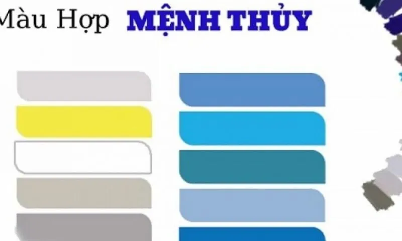 Mệnh Thủy 2005 Hợp Màu Gì?