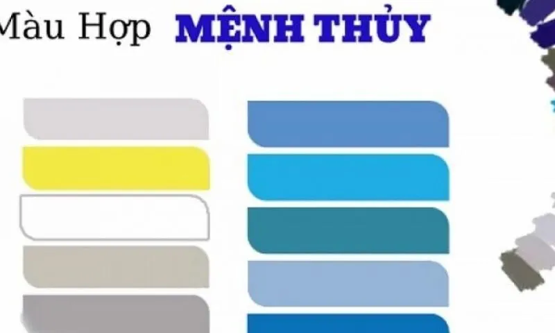 Cách áp dụng màu sắc phong thủy trong cuộc sống