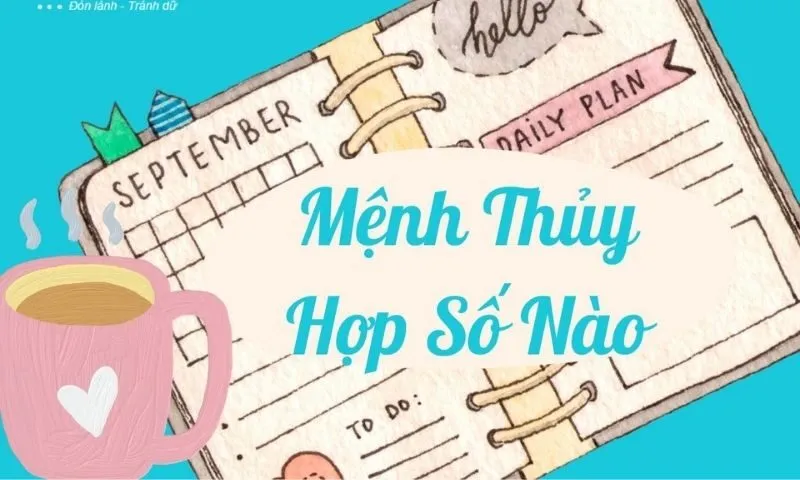 Sim Phong Thủy Hợp Mệnh Thủy Là Gì?